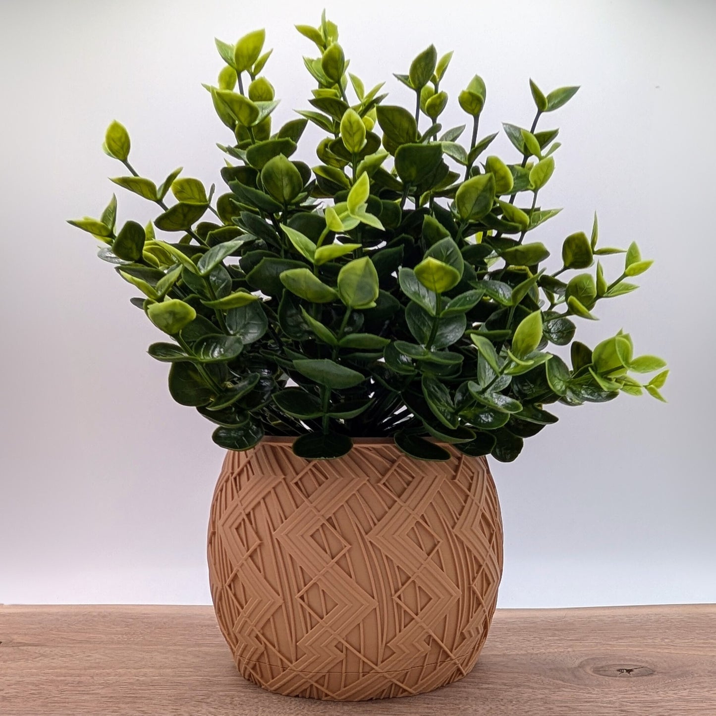 Vextris Planter
