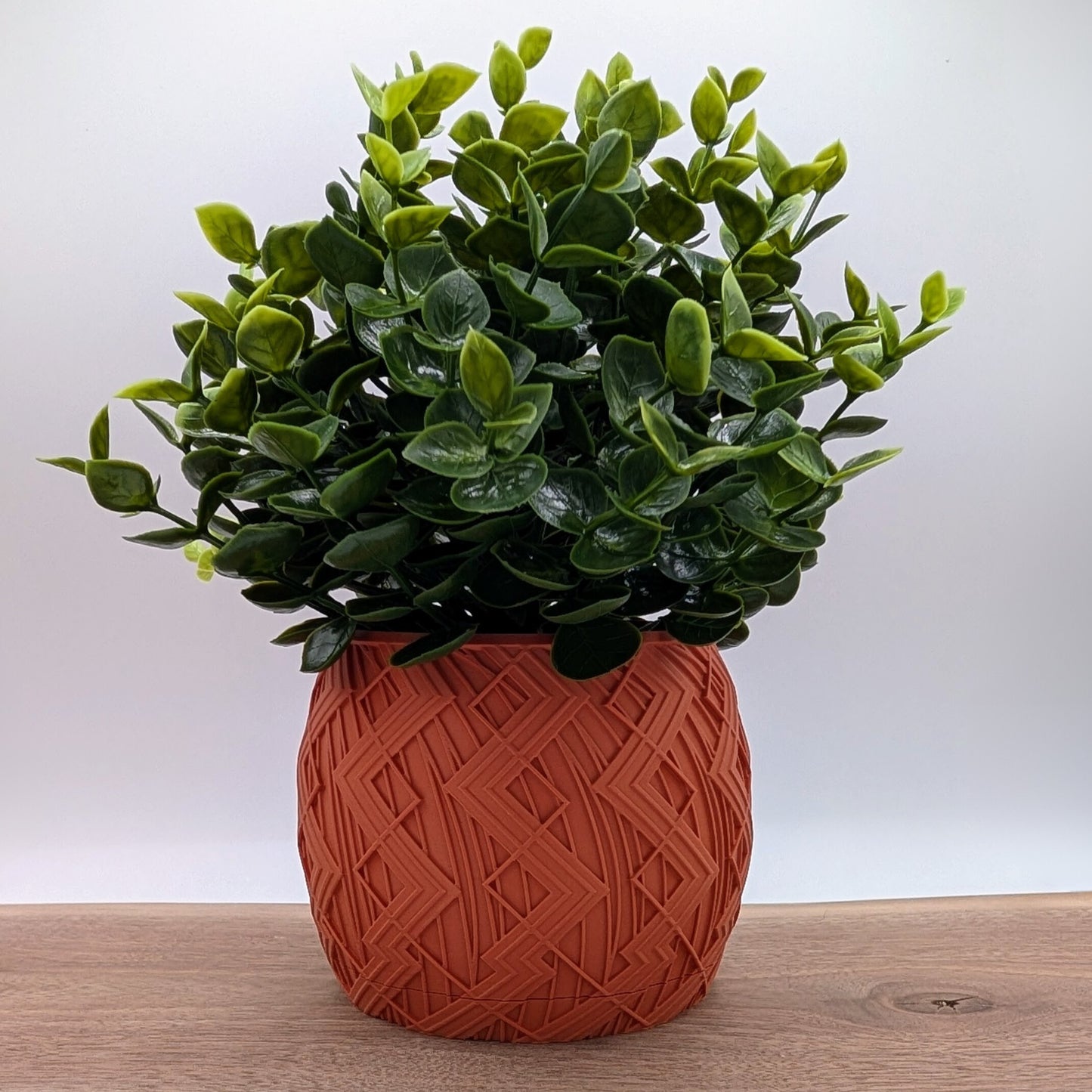 Vextris Planter